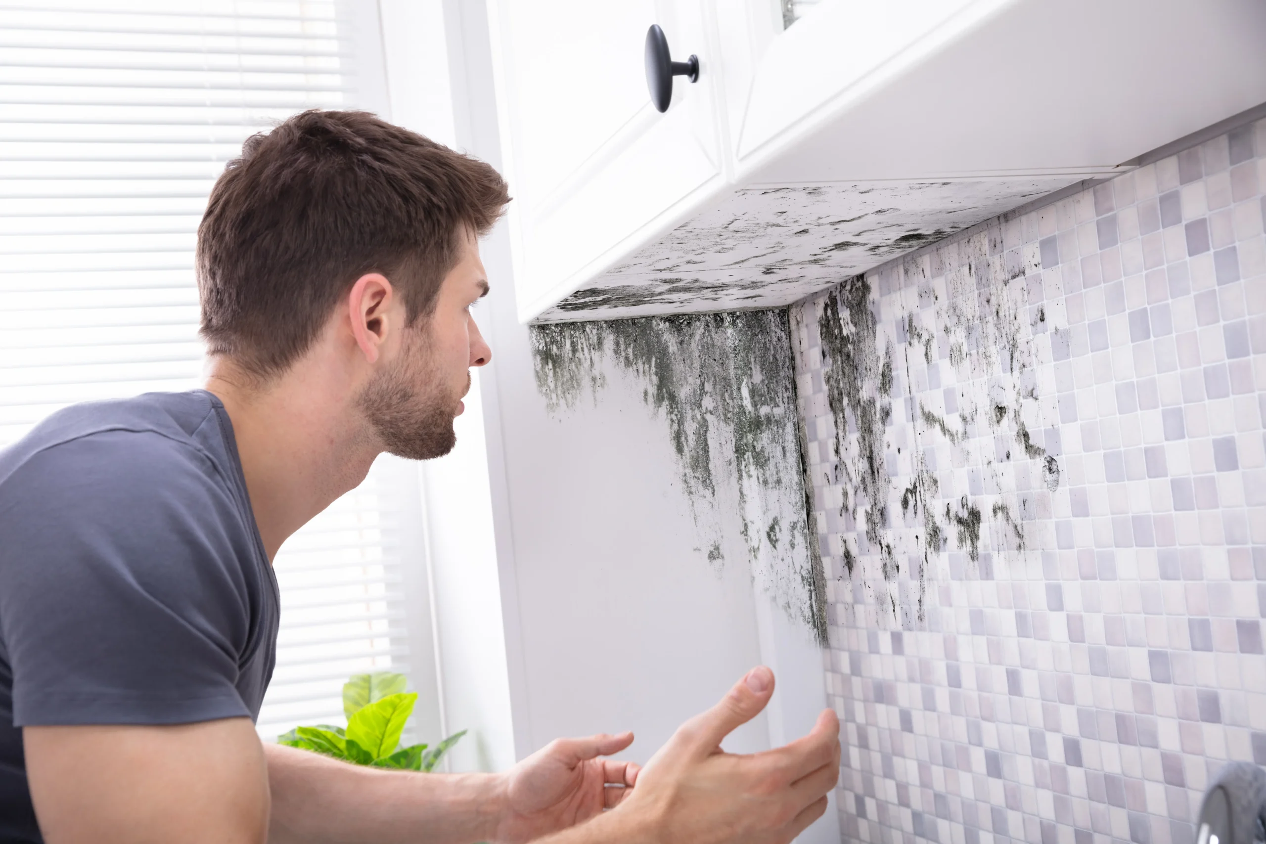 Concrete Moisture Testing